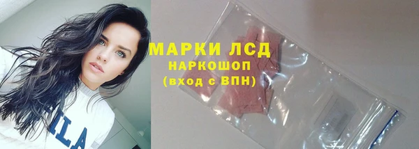 прущие грибы Дмитровск