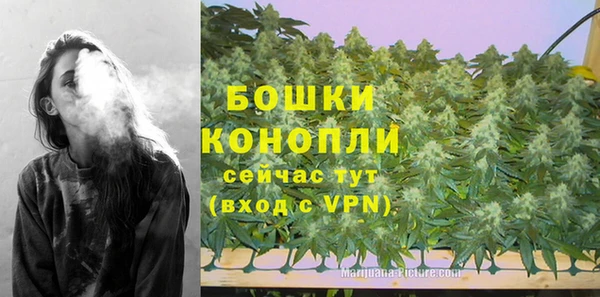 хмурый Дмитриев