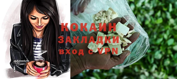 хмурый Дмитриев