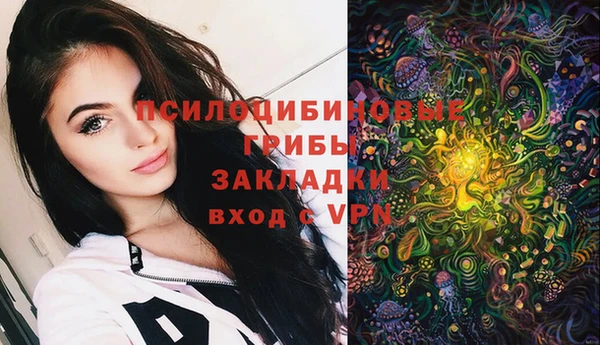 прущие грибы Дмитровск