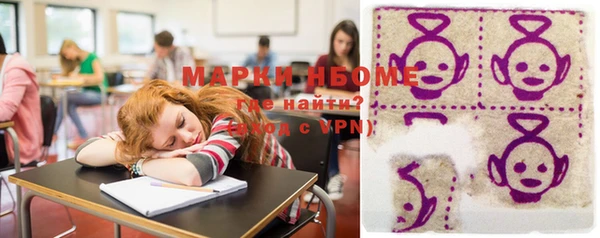 прущие грибы Дмитровск