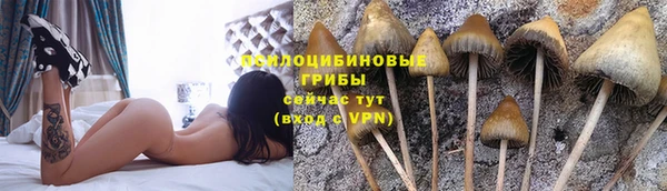 a pvp Дмитров