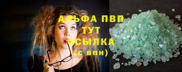 прущие грибы Дмитровск